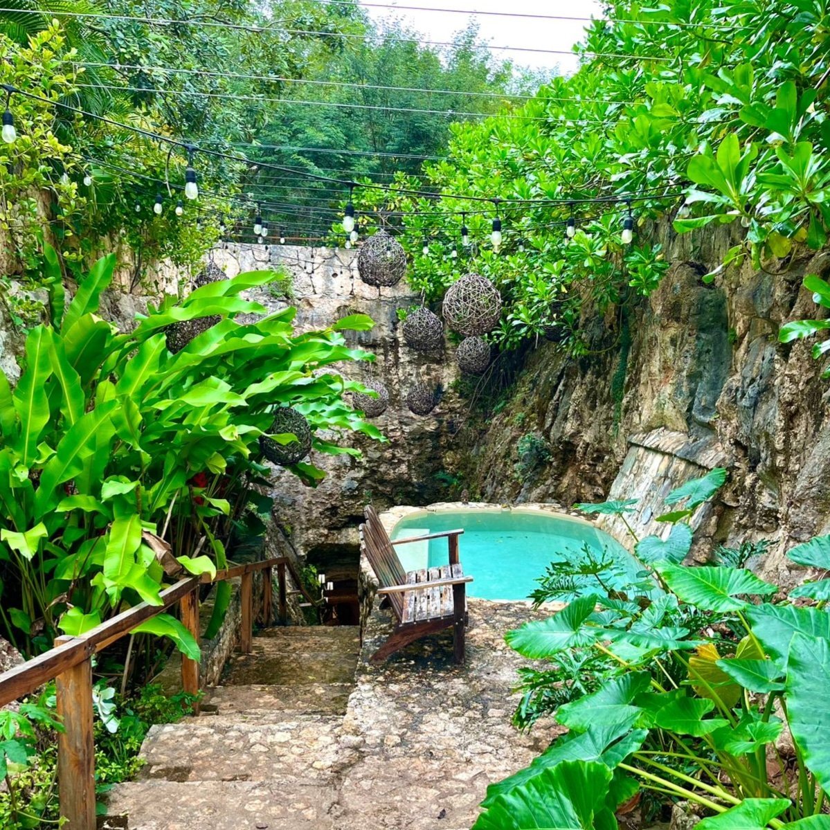Cenote Puerta del Sueño - Imagen 6