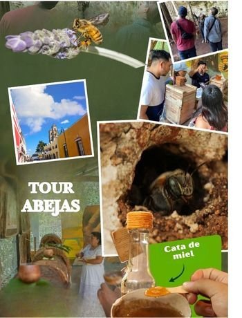 Tour de Abejas